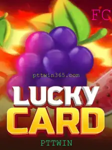 Explorando o Mundo de LuckyCard: Um Guia Completo
